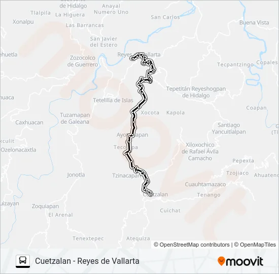 RUTA REYES DE VALLARTA Bus Line Map