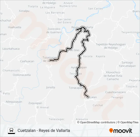 RUTA REYES DE VALLARTA Bus Line Map