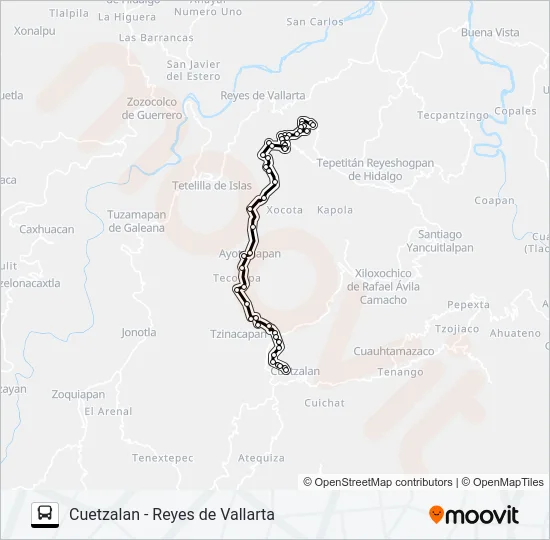 RUTA REYES DE VALLARTA Bus Line Map