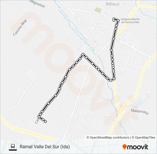 RUTA SAN JUAN CASTILLOTLA Bus Line Map