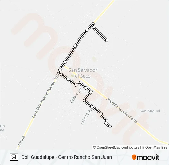 RUTA COL. GUADALUPE Bus Line Map