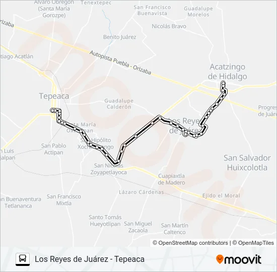 RUTA LOS REYES DE JUÁREZ Bus Line Map