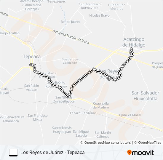 RUTA LOS REYES DE JUÁREZ bus Line Map