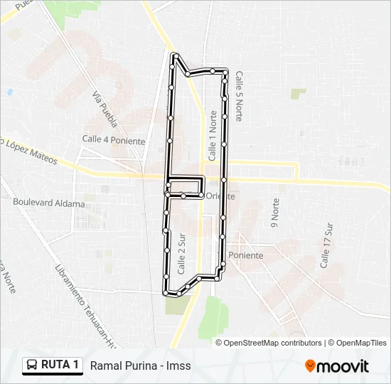 RUTA 1 Bus Line Map