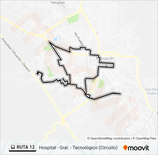 RUTA 12 Bus Line Map
