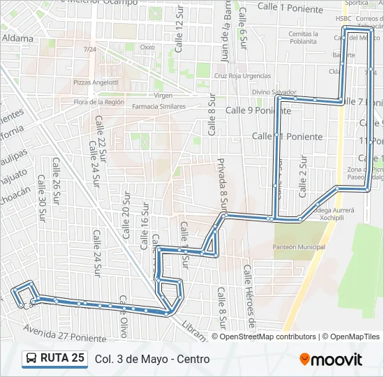 RUTA 25 Bus Line Map