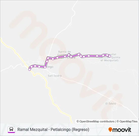 RUTA MEZQUITAL Bus Line Map