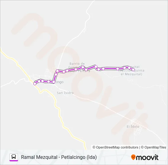 RUTA MEZQUITAL Bus Line Map