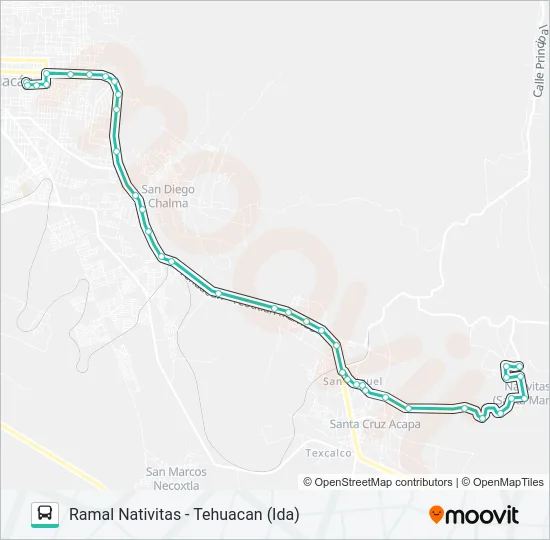 RUTA NATIVÍTAS Bus Line Map