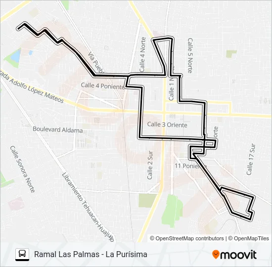 RUTA LAS PALMAS Bus Line Map