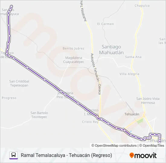 RUTA TEMALACALUYA Bus Line Map