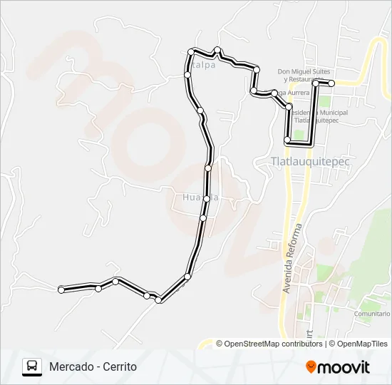 RUTA MERCADO TLATLAUQUITEPEC Bus Line Map