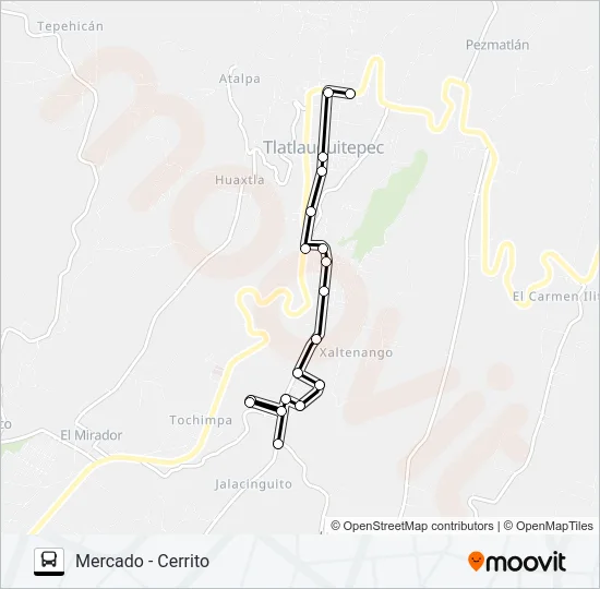 RUTA MERCADO TLATLAUQUITEPEC Bus Line Map