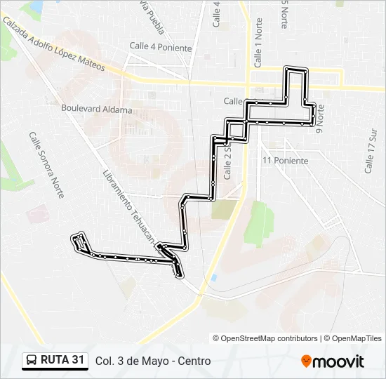 RUTA 31 Bus Line Map