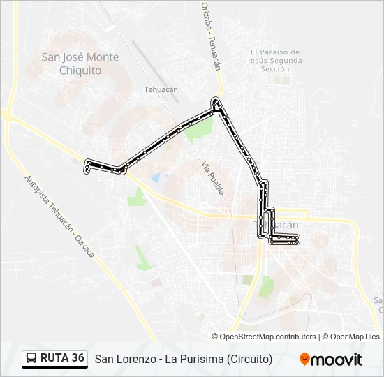 RUTA 36 Bus Line Map