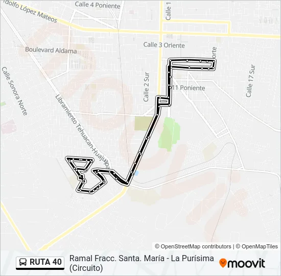 RUTA 40 Bus Line Map
