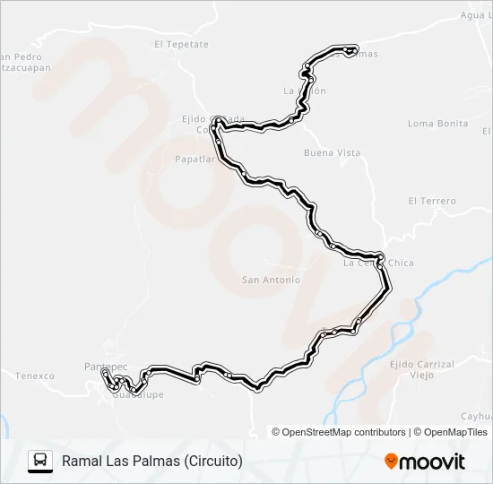RUTA PANTEPEC Bus Line Map