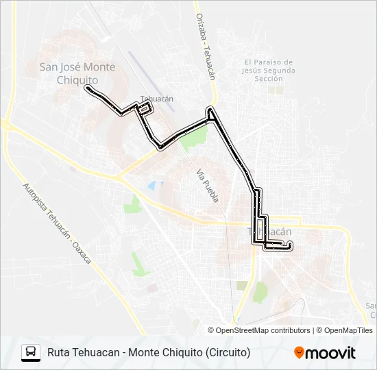 RUTA TEHUACÁN Bus Line Map