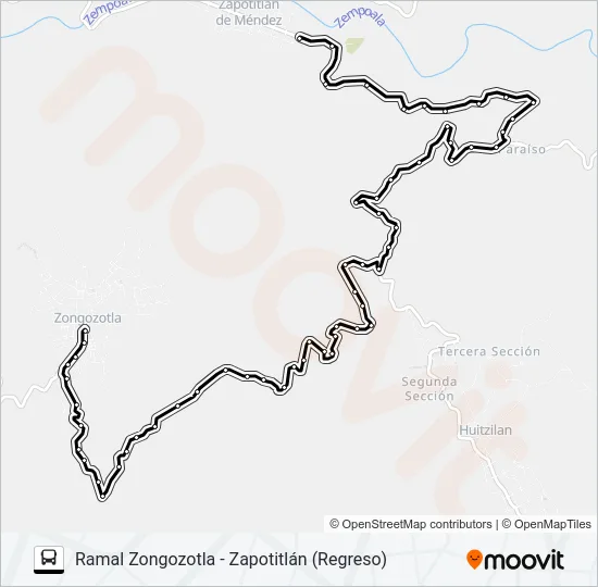 RUTA ZONGOZOTLA Bus Line Map