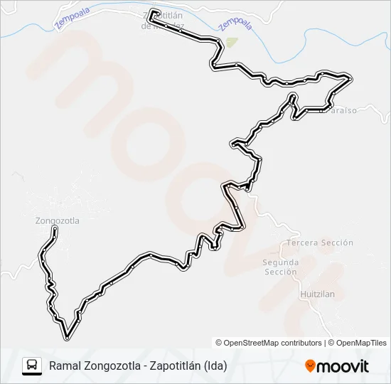 RUTA ZONGOZOTLA Bus Line Map