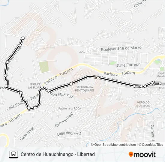 RUTA CENTRO DE HUAUCHINANGO Bus Line Map