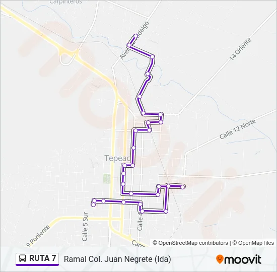RUTA 7 Bus Line Map