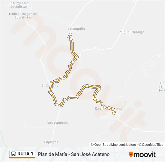 RUTA 1 Bus Line Map