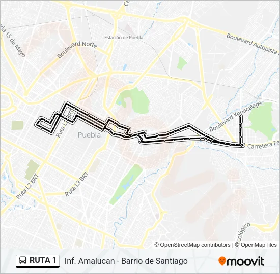 RUTA 1 Bus Line Map