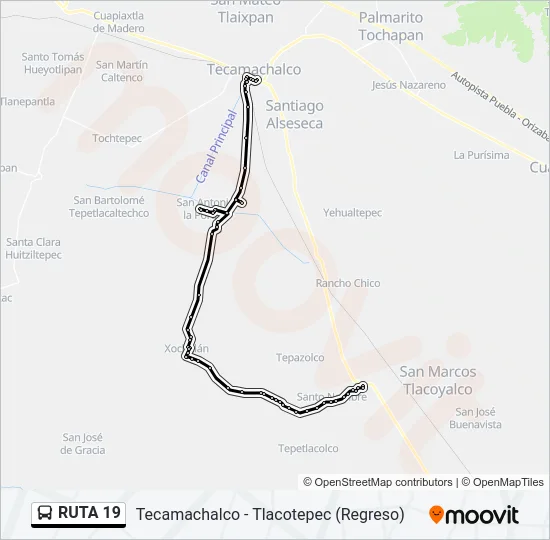 RUTA 19 Bus Line Map