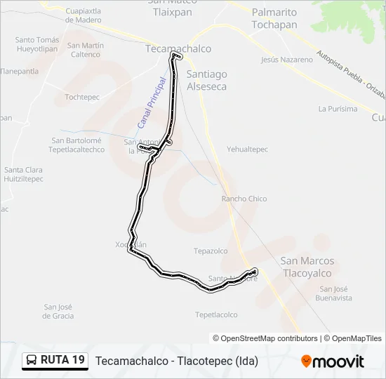 RUTA 19 Bus Line Map