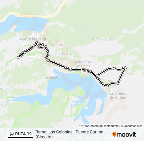 RUTA 19 Bus Line Map