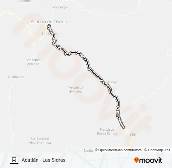 RUTA ACATLÁN Bus Line Map
