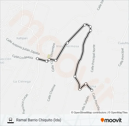 RUTA XALTIPÁN Bus Line Map