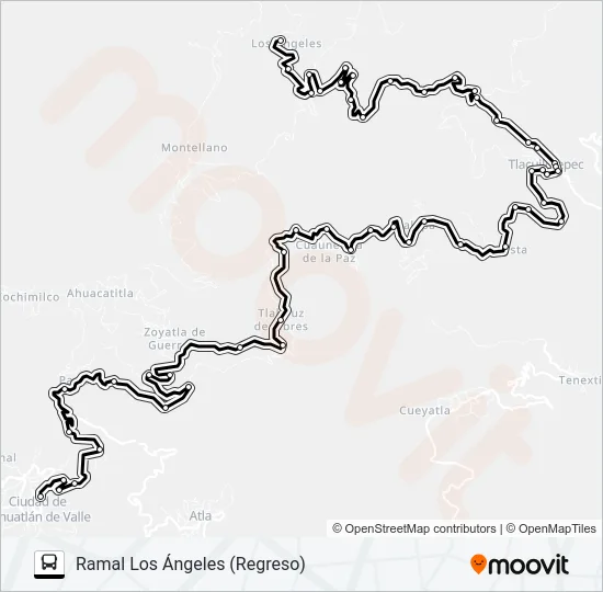 RUTA PAHUATLÁN Bus Line Map
