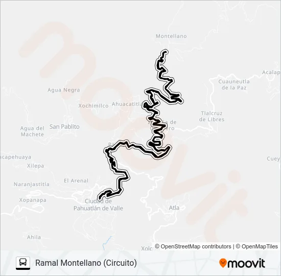 RUTA PAHUATLÁN Bus Line Map