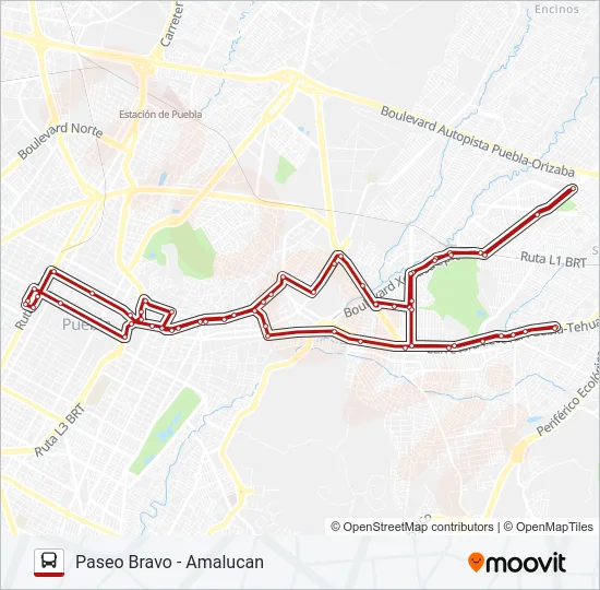 TRANSPORTE NOCTURNO Bus Line Map
