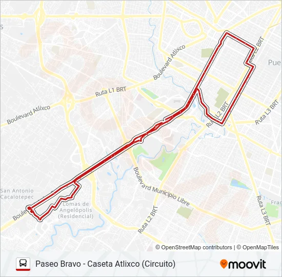 TRANSPORTE NOCTURNO Bus Line Map