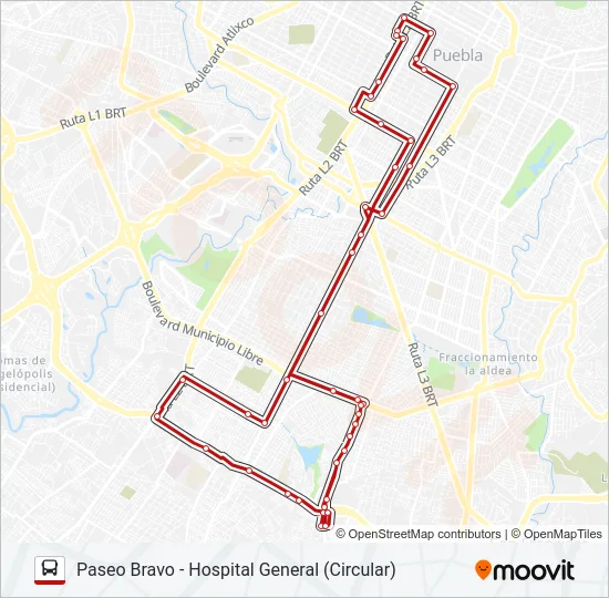 TRANSPORTE NOCTURNO Bus Line Map