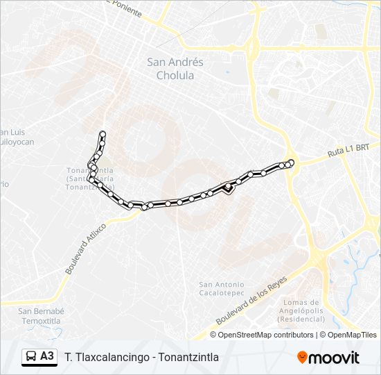 A3 Bus Line Map