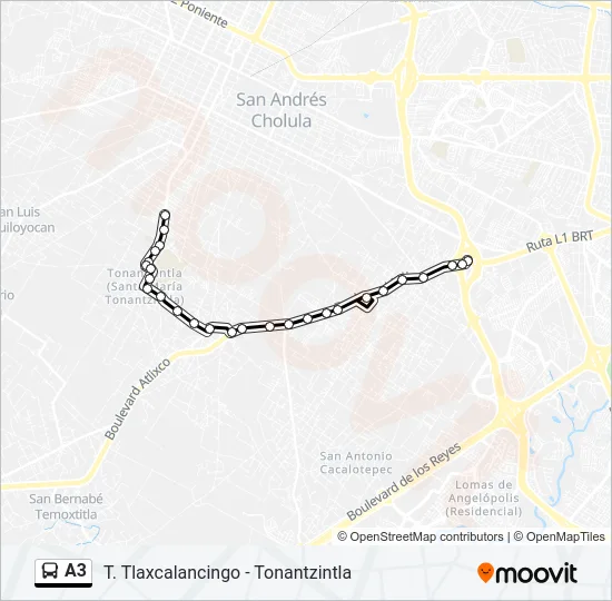 A3 Bus Line Map