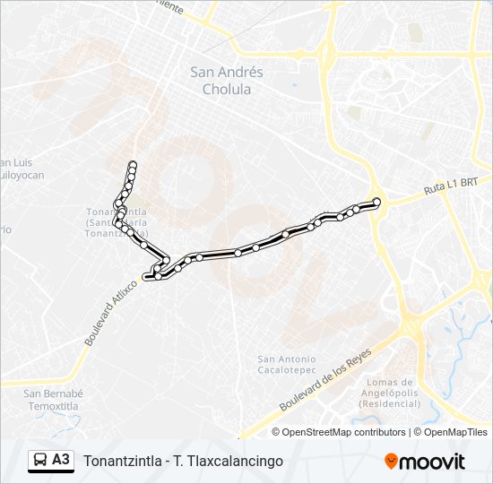 A3 Bus Line Map