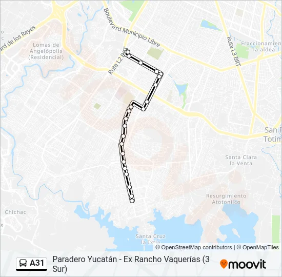 A31 Bus Line Map