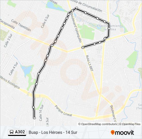 A302 Bus Line Map