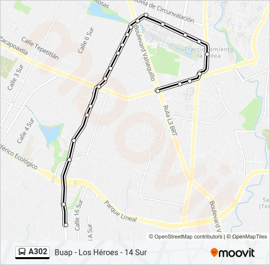 A302 Bus Line Map