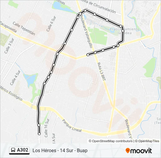 A302 Bus Line Map