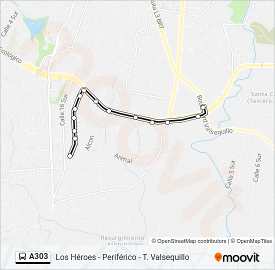 A303 Bus Line Map