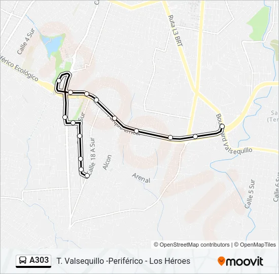 A303 Bus Line Map