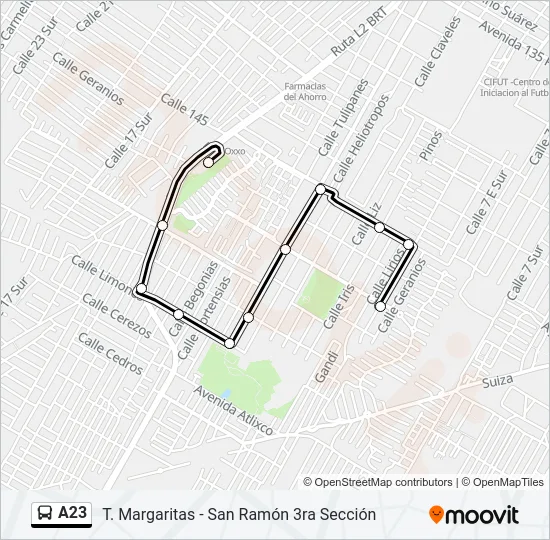 A23 Bus Line Map