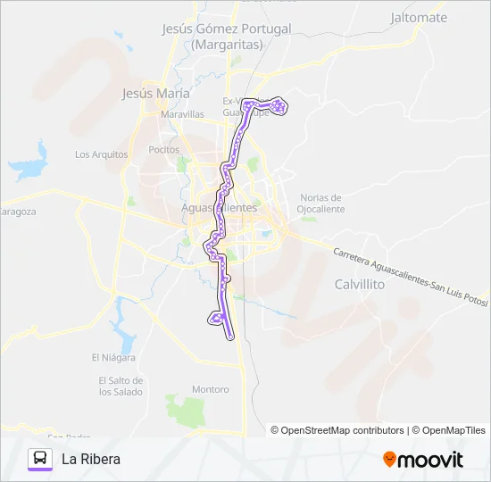 RUTA 03 Bus Line Map