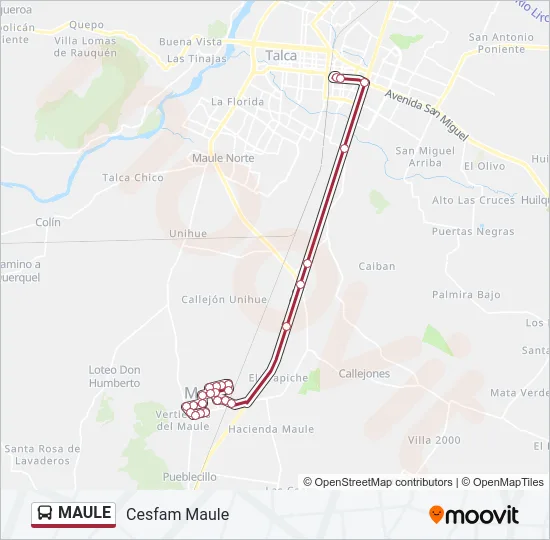 MAULE Bus Line Map